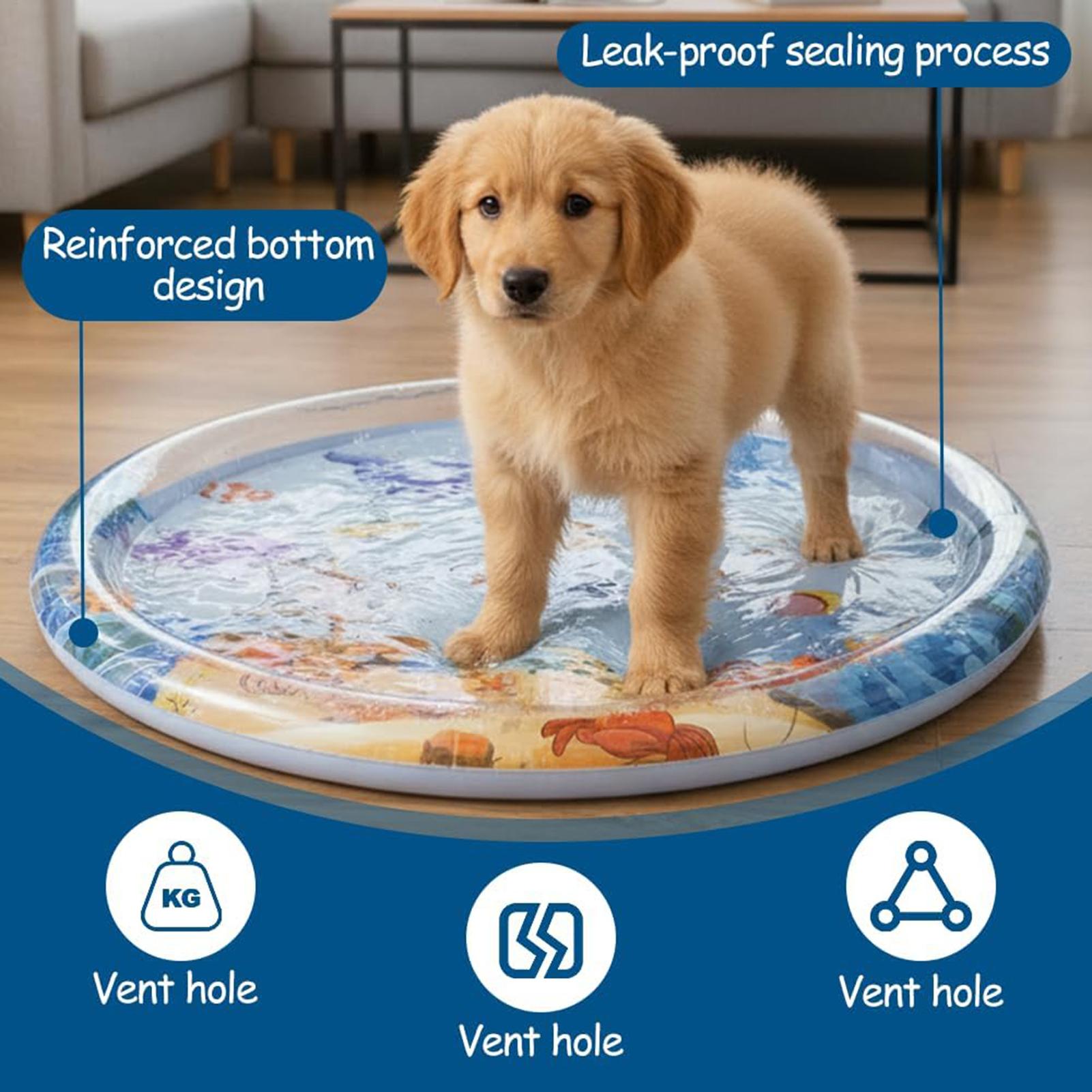 Thicken Interactive Cat Play M - огляд і ціна Slip Slide Water Mat