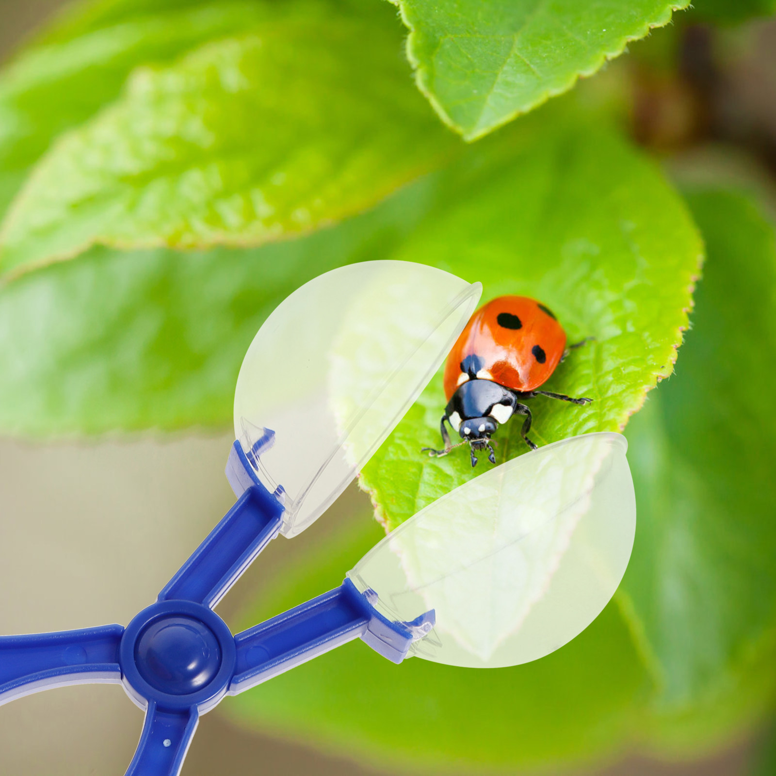 8Pcs Insect Catcher Scissors K - огляд і ціна Kids Outdoor Tools
