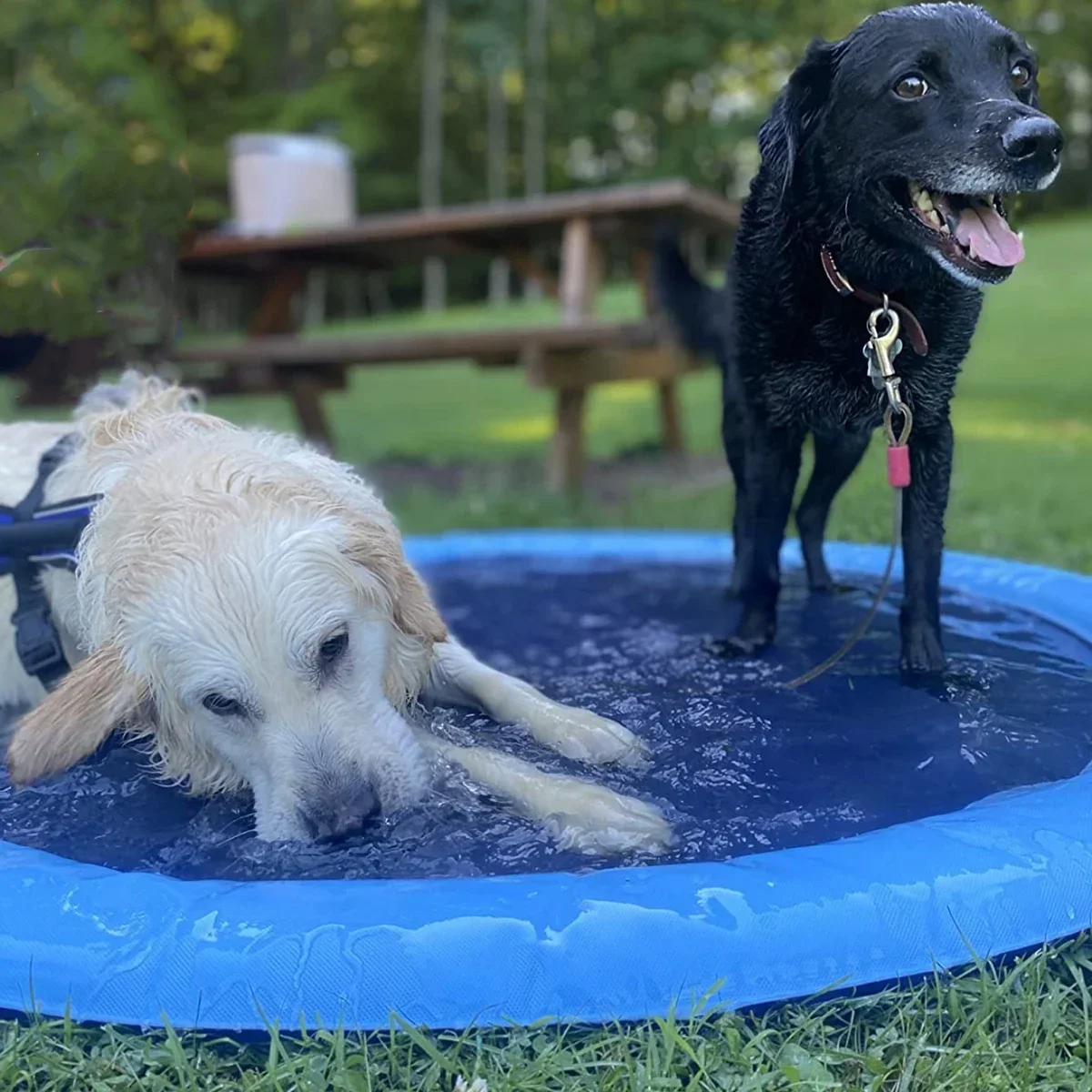 100/150/200cm Summer Pet Swimm - огляд і ціна Slip Slide Water Mat